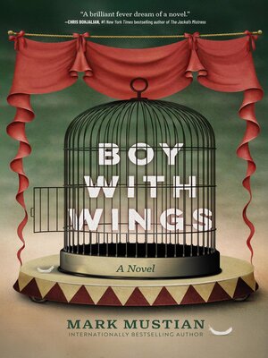 cover image of Boy With Wings